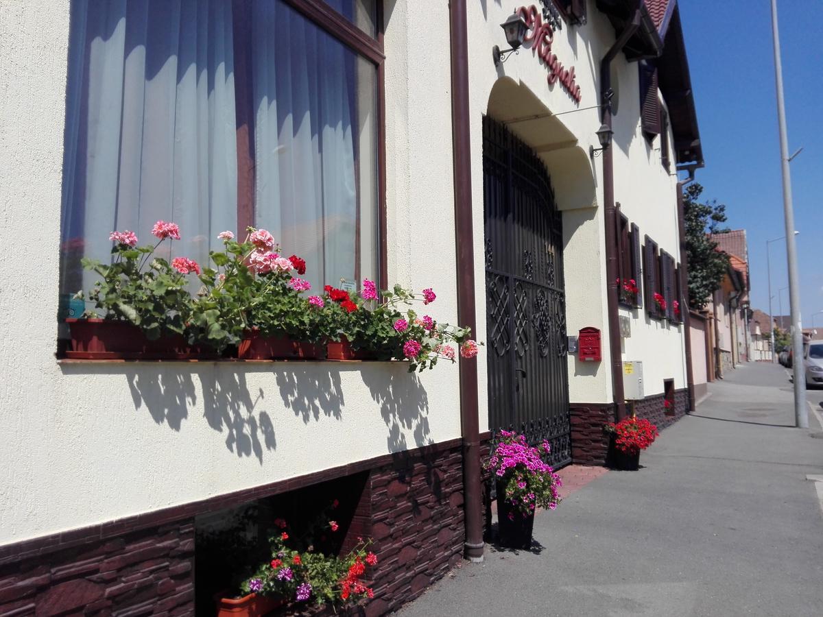 Pensiunea Magnolia Sibiu Exterior photo