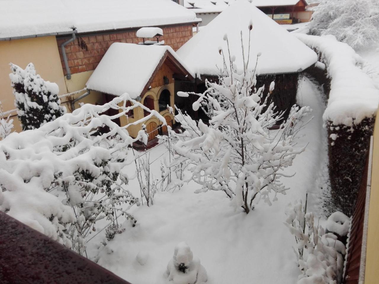 Pensiunea Magnolia Sibiu Exterior photo