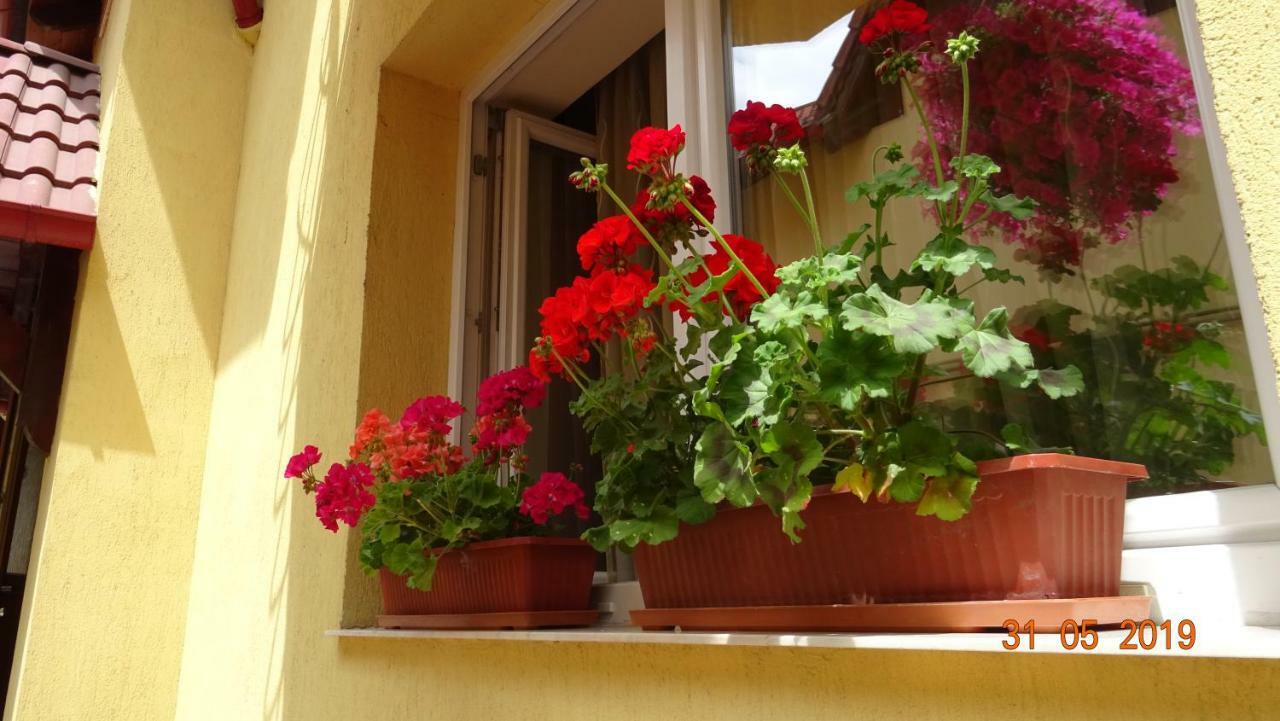 Pensiunea Magnolia Sibiu Exterior photo